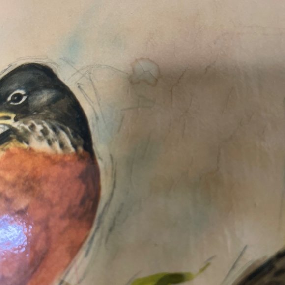 Paul Whitney Wood Plaque Wall Art Wildlife Pine Slab Rustic Wall Hanging u - Picture 8 of 12